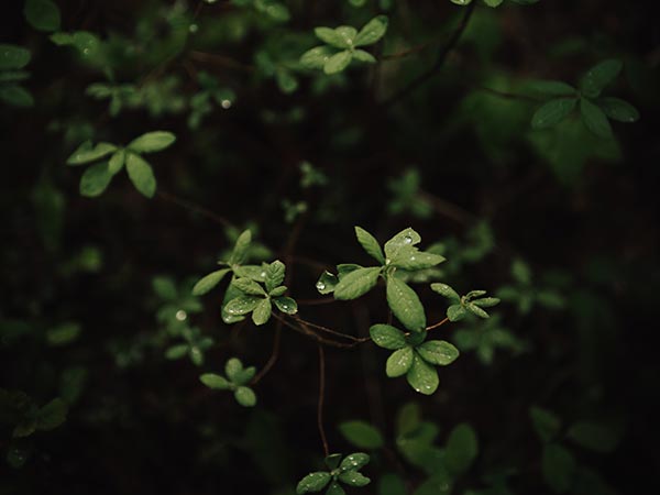Read more about the article Quam Nulla Porttitor Massa Dneque Aliquam Vestibulum