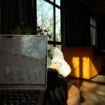 100 Things in 1001 Days