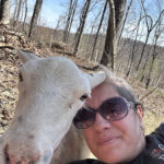 No Farm? No Problem! How to Live a More Self-Sufficient Life Right Now