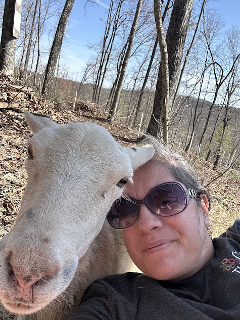 You are currently viewing No Farm? No Problem! How to Live a More Self-Sufficient Life Right Now
